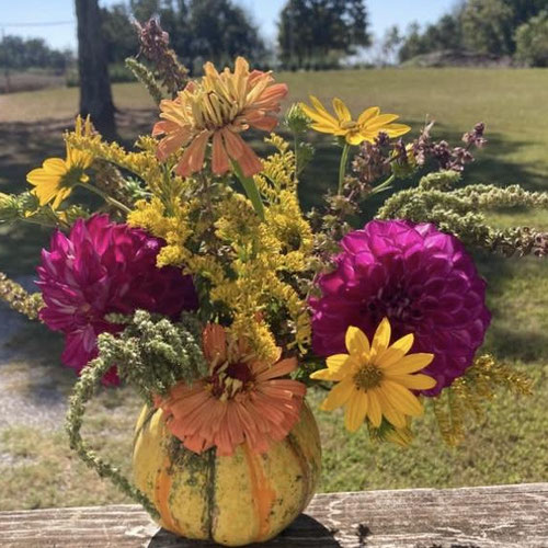 Pretty Petals pumpkin design(small) from Atlanta’s Pretty Petals — Huntsville Food Hub