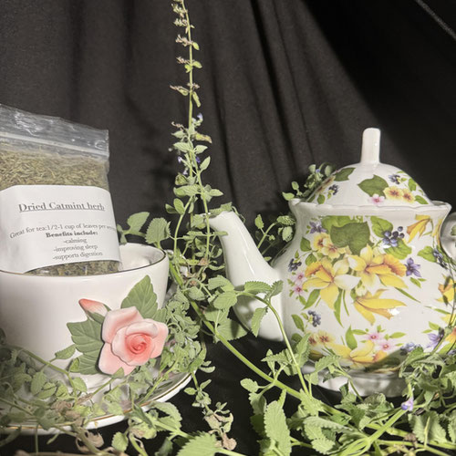 Dried Organic Catmint Herb-Loose leaf tea