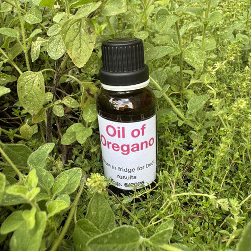 Oil of Oregano-1 fl. Oz.
