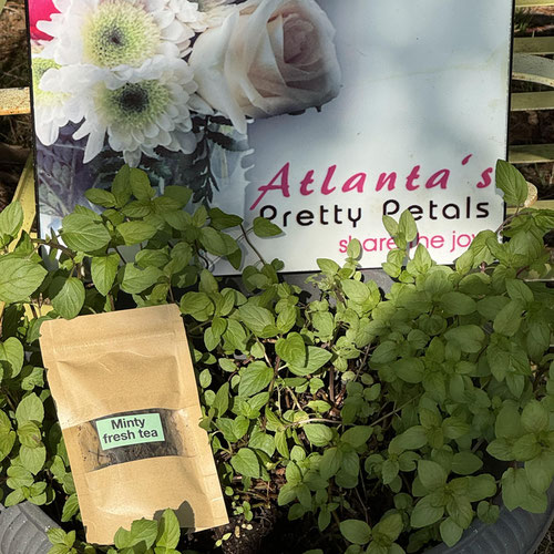 Minty fresh- 4 oz. Loose leaf tea from Atlanta’s Pretty Petals — Huntsville Food Hub