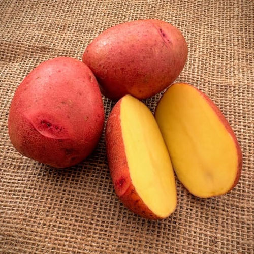 Carla Rose from Whirlwind Farm — Huntsville Food Hub