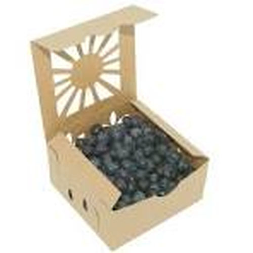 Organic Blueberries from Whirlwind Farm — Huntsville Food Hub