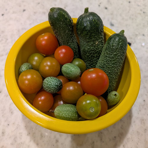 Snack Pack from Limestone Acres Farm — Huntsville Food Hub