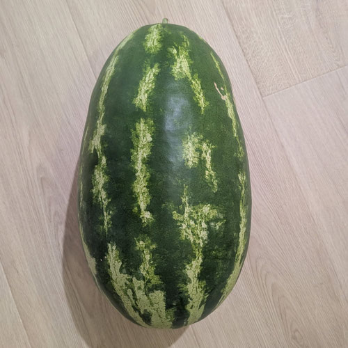Watermelon - Orange Tendersweet from Limestone Acres Farm — Huntsville Food Hub
