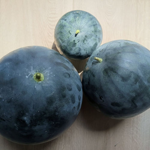 Watermelon - Sugar Baby from Limestone Acres Farm — Huntsville Food Hub