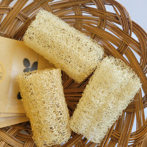 Home Grown Loofah