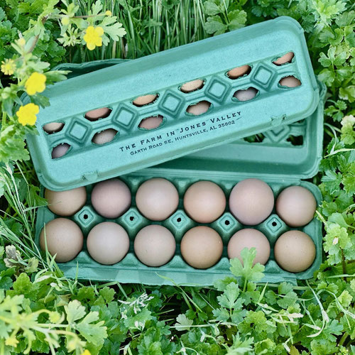 Large, Pasture-Raised Chicken Eggs, Non-GMO