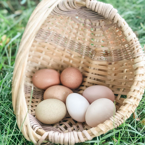 Farm Fresh Eggs