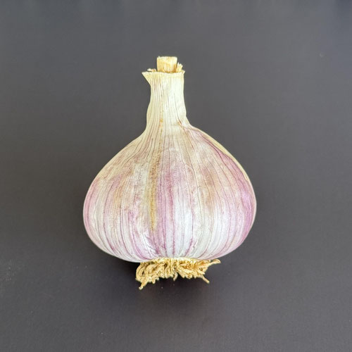 Chesnok Red from Wicked Garlic — Huntsville Food Hub