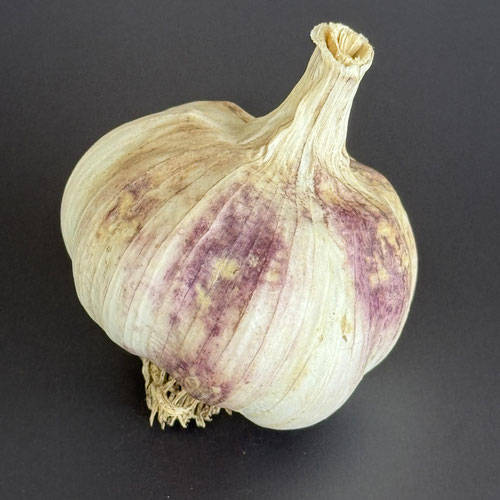 Spanish Roja from Wicked Garlic — Huntsville Food Hub