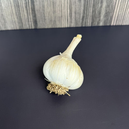 Music from Wicked Garlic — Huntsville Food Hub