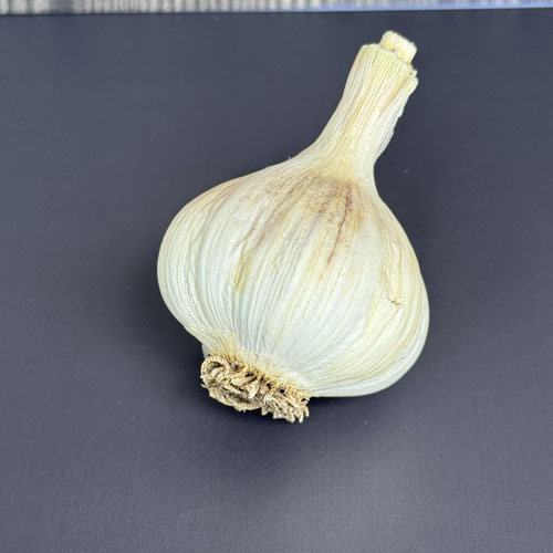 German Extra Hardy hardneck garlic from Wicked Garlic — Huntsville Food Hub