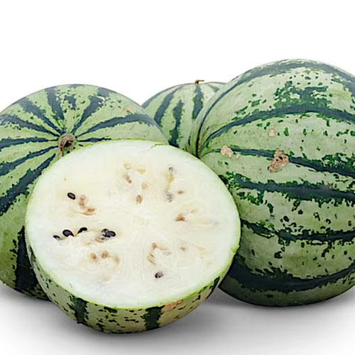 Watermelon - Silver Yamato from Ironspring Orchard & Farm — Huntsville Food Hub
