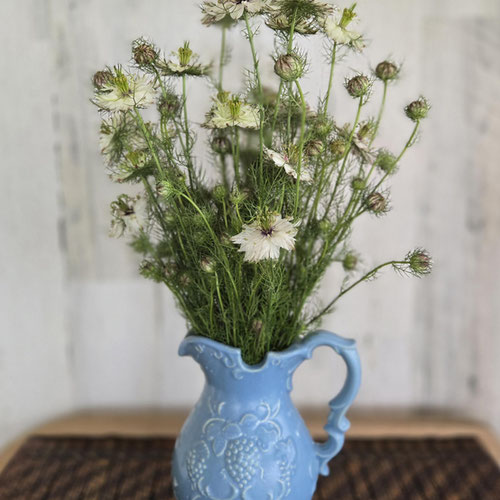 Flower Stems - Nigella from Ironspring Orchard & Farm — Huntsville Food Hub