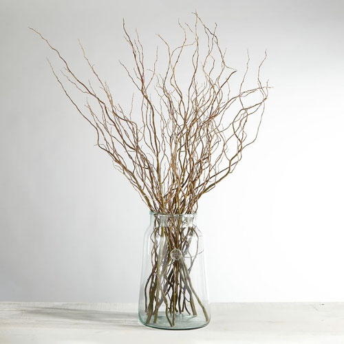 Willow Withies - Curly from Ironspring Orchard & Farm — Huntsville Food Hub