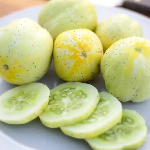 Cucumbers - Lemon from Ironspring Orchard & Farm — Huntsville Food Hub