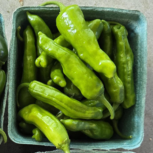 Peppers - Shishito from Ironspring Orchard & Farm — Huntsville Food Hub