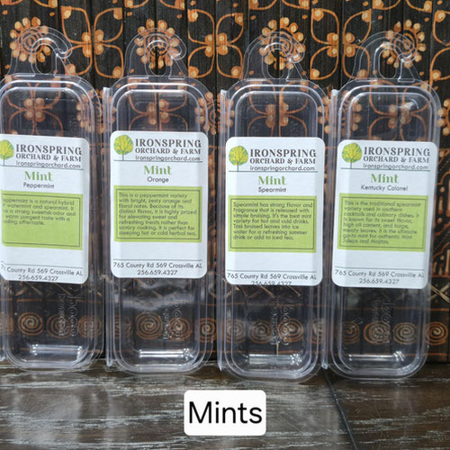 Herb Sampler - Mint from Ironspring Orchard & Farm — Huntsville Food Hub