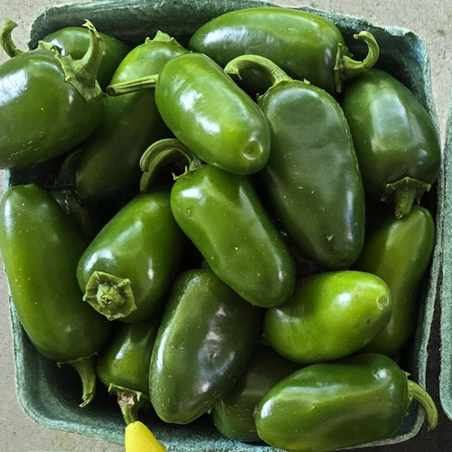 Peppers - Jalapeño from Ironspring Orchard & Farm — Huntsville Food Hub
