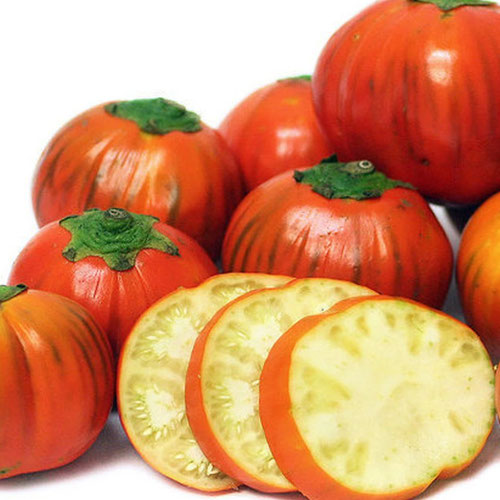 Eggplant - Rossi di Rotonda from Ironspring Orchard & Farm — Huntsville Food Hub