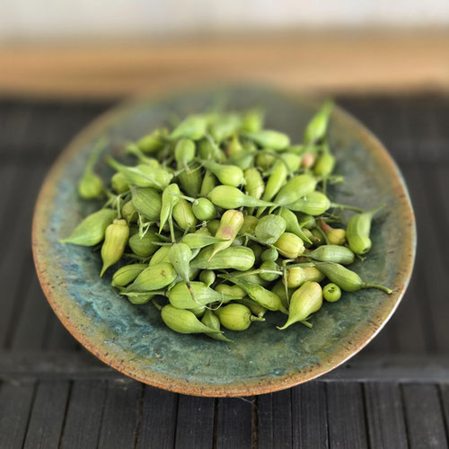 Radish - Seed Pods, Spanish Black from Ironspring Orchard & Farm — Huntsville Food Hub