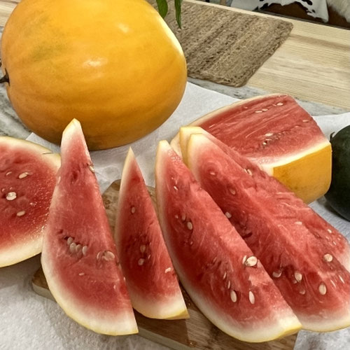 Watermelon - Royal Golden from Ironspring Orchard & Farm — Huntsville Food Hub