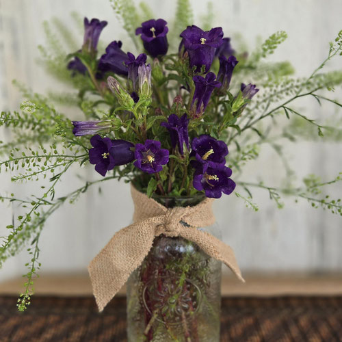 Bouquet - Campanula and Cress