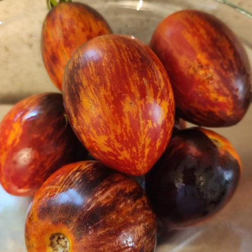 Tomatoes - Gargamel from Ironspring Orchard & Farm — Huntsville Food Hub