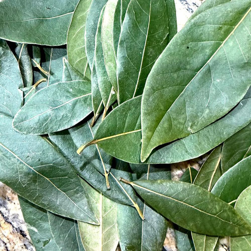 Bay Leaves - Fresh from Ironspring Orchard & Farm — Huntsville Food Hub