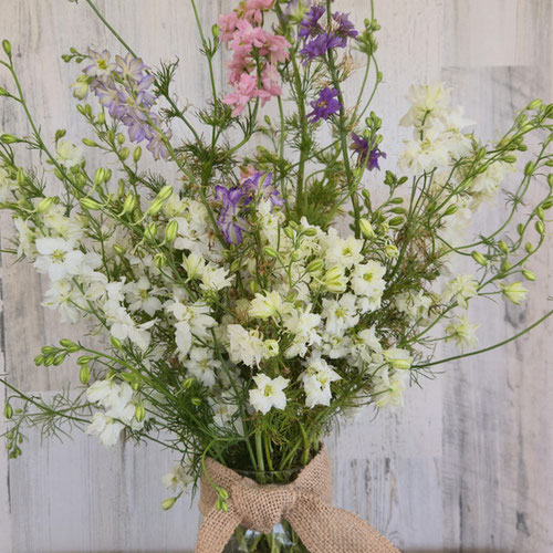 Bouquet - Larkspur