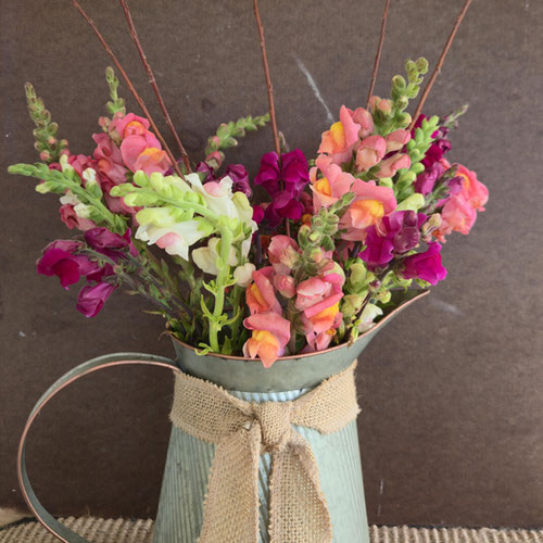 Bouquet - Snapdragons and Willow