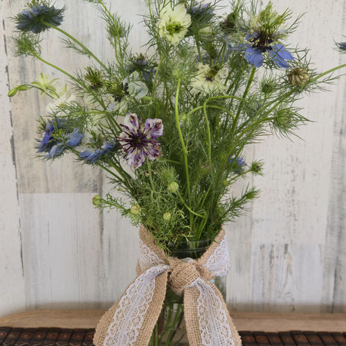 Bouquet - Nigella