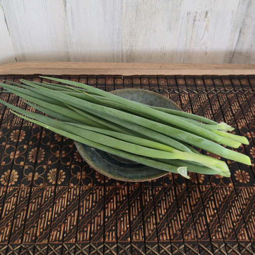 Onions - Ishikura Bunching from Ironspring Orchard & Farm — Huntsville Food Hub