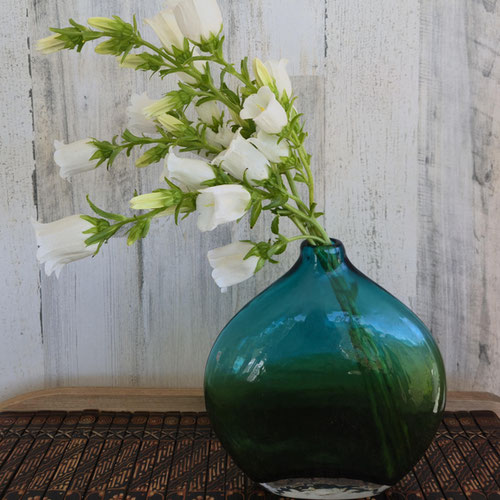 Flower Stems - Campanula from Ironspring Orchard & Farm — Huntsville Food Hub