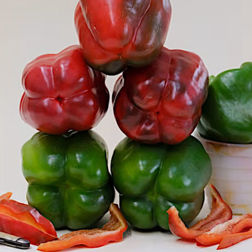 Peppers - Bullnose from Ironspring Orchard & Farm — Huntsville Food Hub