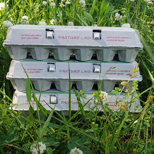 2 Dzn Sm Pullet Pasture Laid Chicken Eggs (Non-GMO*No Soy*No Corn)