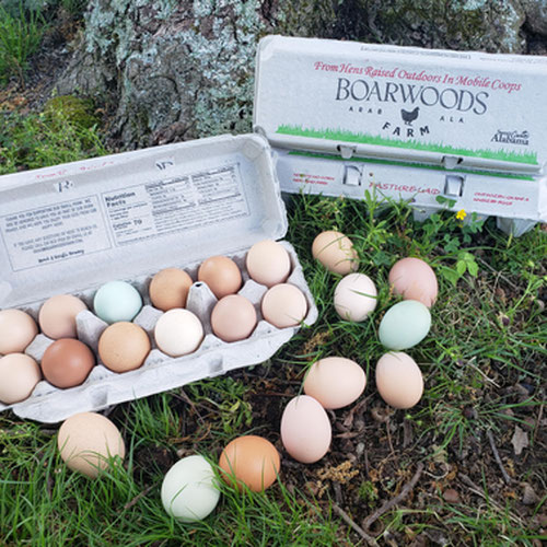 Pasture Raised Chicken Eggs - Non-GMO, No Corn, No Soy