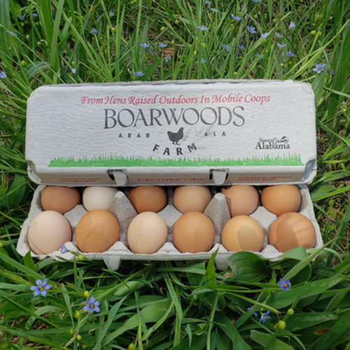 2 Dzn Sm/Med Pasture Laid Chicken Eggs (Non-GMO*No Soy*No Corn)