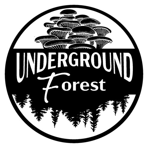 Coral Tooth Mushroom from Underground Forest — Huntsville Food Hub