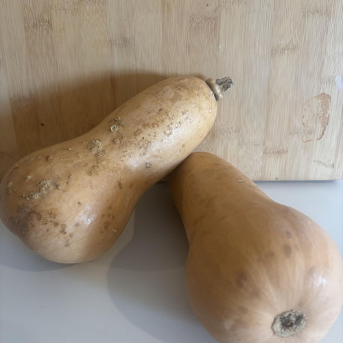Butternut Squash - Organically Grown from Prospect Ridge Farms — Huntsville Food Hub