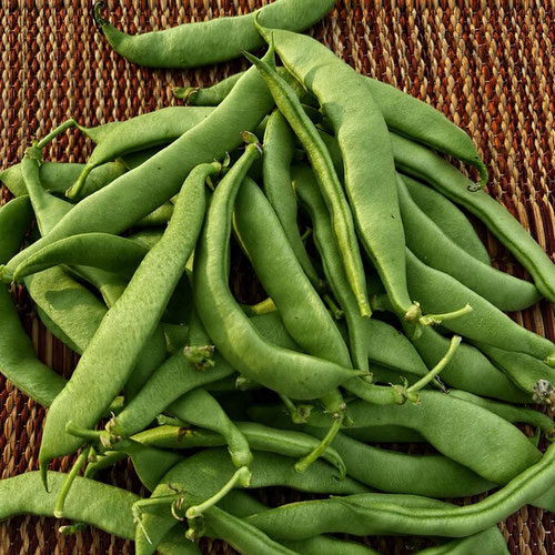 Heirloom Roma Green Beans from Mint Springs Farm — Huntsville Food Hub