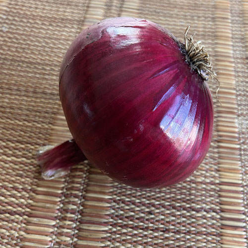 Large Red Creole Onions from Mint Springs Farm — Huntsville Food Hub